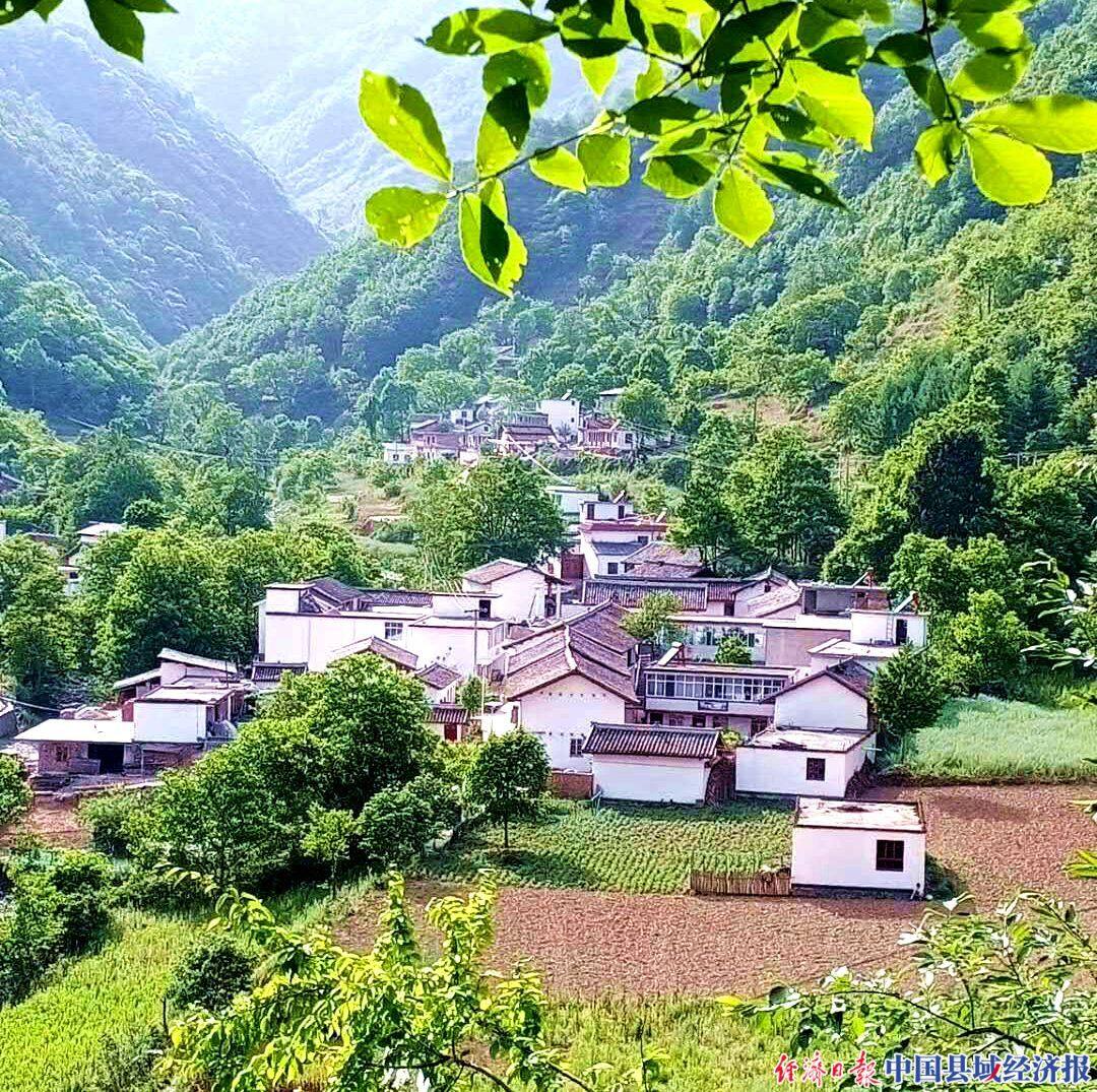 甘肃康县店子乡:九远沟里不再远,良景美食山外香