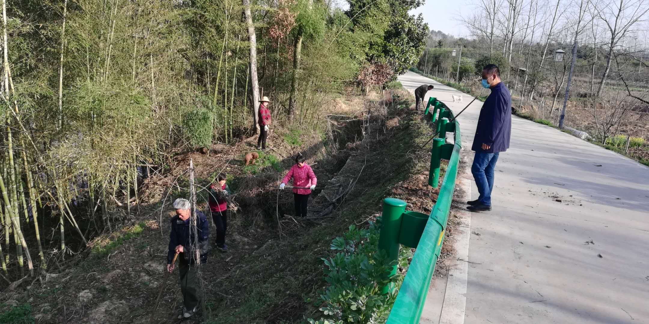 安徽肥西铭传乡筑牢乡村防疫线人居环境整治正当时