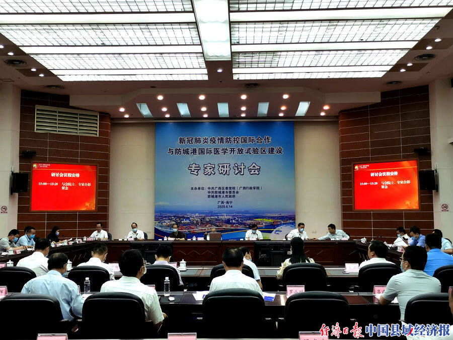 疫情防控国际合作与防城港国际医学开放试验区建设专家研讨会在南宁