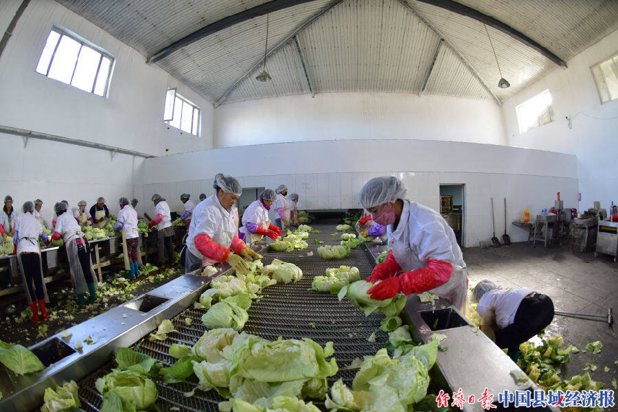 依托绿禾源脱水蔬菜加工,岳各庄农副产品交易中心,汇祥生物,山东绿嘉