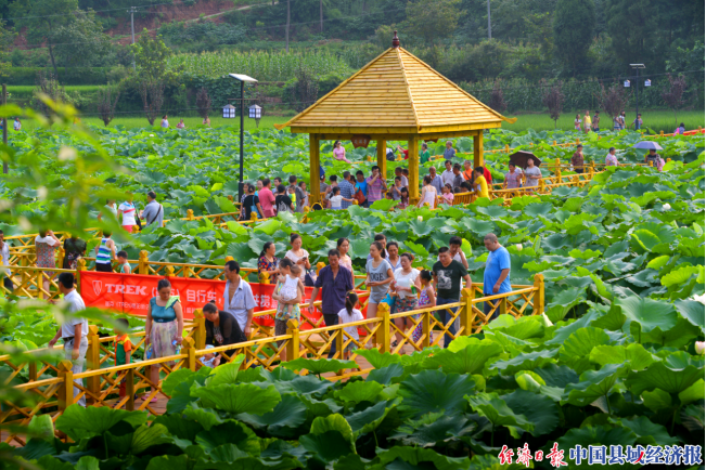龙居村的华丽转身|中国县域经济报