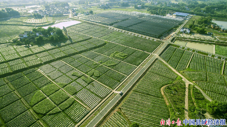 俯瞰江阳区分水岭镇董允坝村