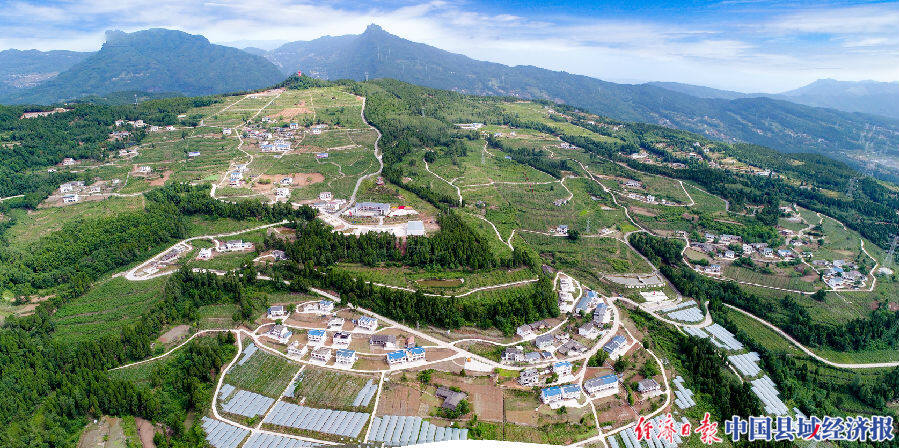 广元昭化: 聚焦现代园区建设 推动农业高质量发展