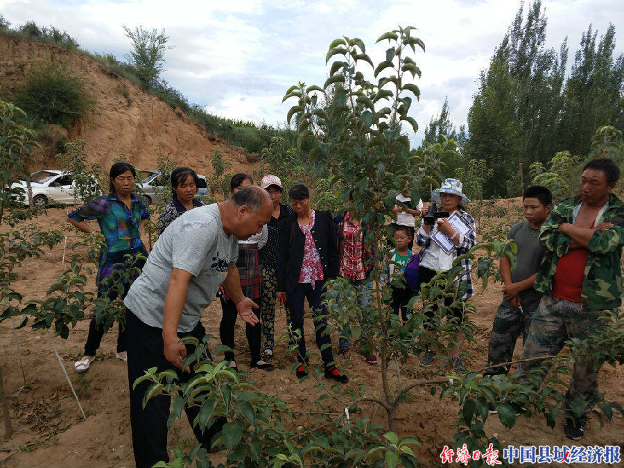 喀喇沁旗林业局技术员为群众进行果树修剪现场培训.