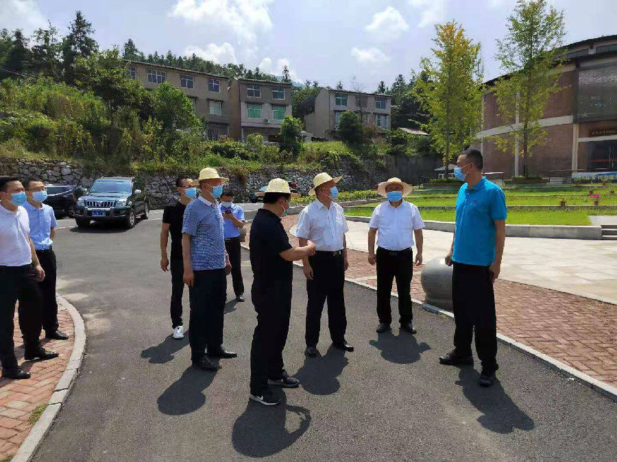 湖北麻城市委书记汪国兵一行调研龟峰山风景区疫情防控工作