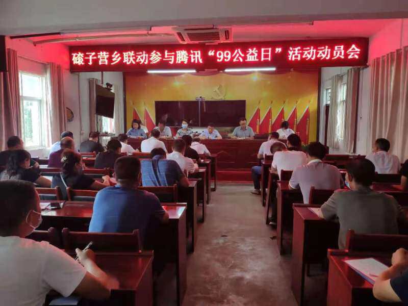 同根同源谋发展—河南鲁山磙子营乡全力做好"99公益日"活动|中国