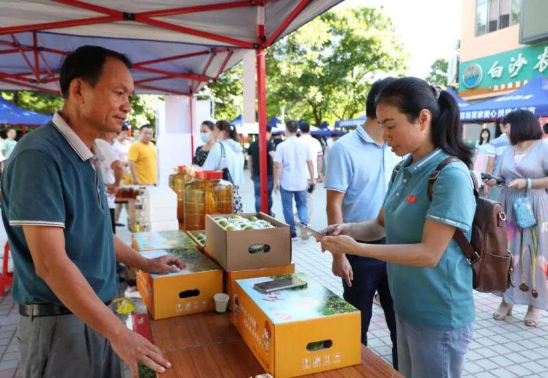 白沙县委常委,宣传部长张志群扫码购买农特产品(符俏剑 摄)