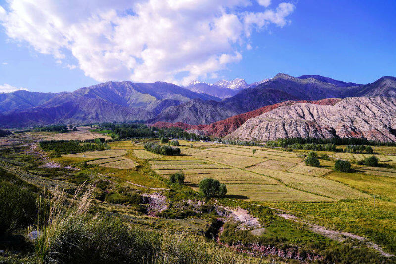 图为阿克布拉克村乡村自然美景(颜寿林 摄)