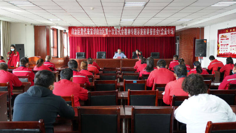 新疆温宿县多种形式学习贯彻自治区第十次党代会精神