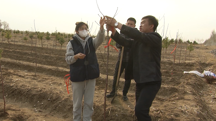 孙世民扎根沃土播撒绿色心向振兴林果产业