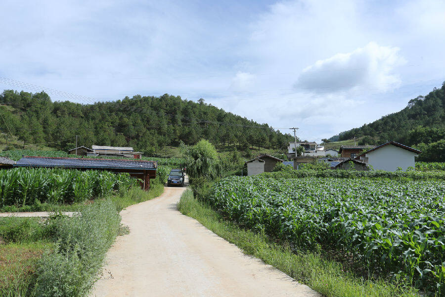 道路硬化助力乡村振兴加速度