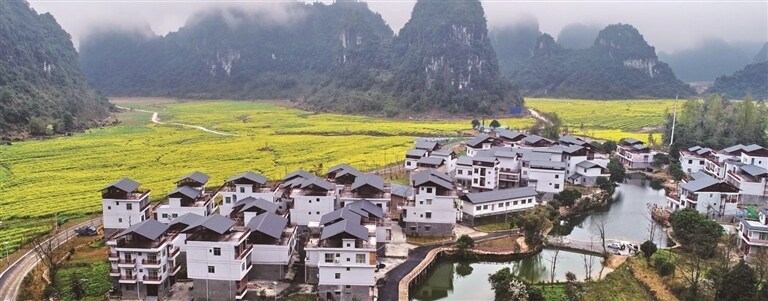 百色市田阳区五村镇巴某村美景