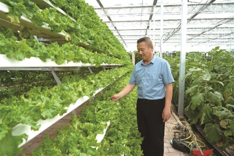 赤城县农业农村局相关负责人在科技示范园查看农作物长势情况