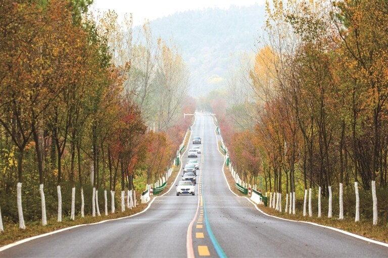11月11日，安徽省自驾游大会车队穿行在全椒县椒岭风景线上。通讯员 沈果摄