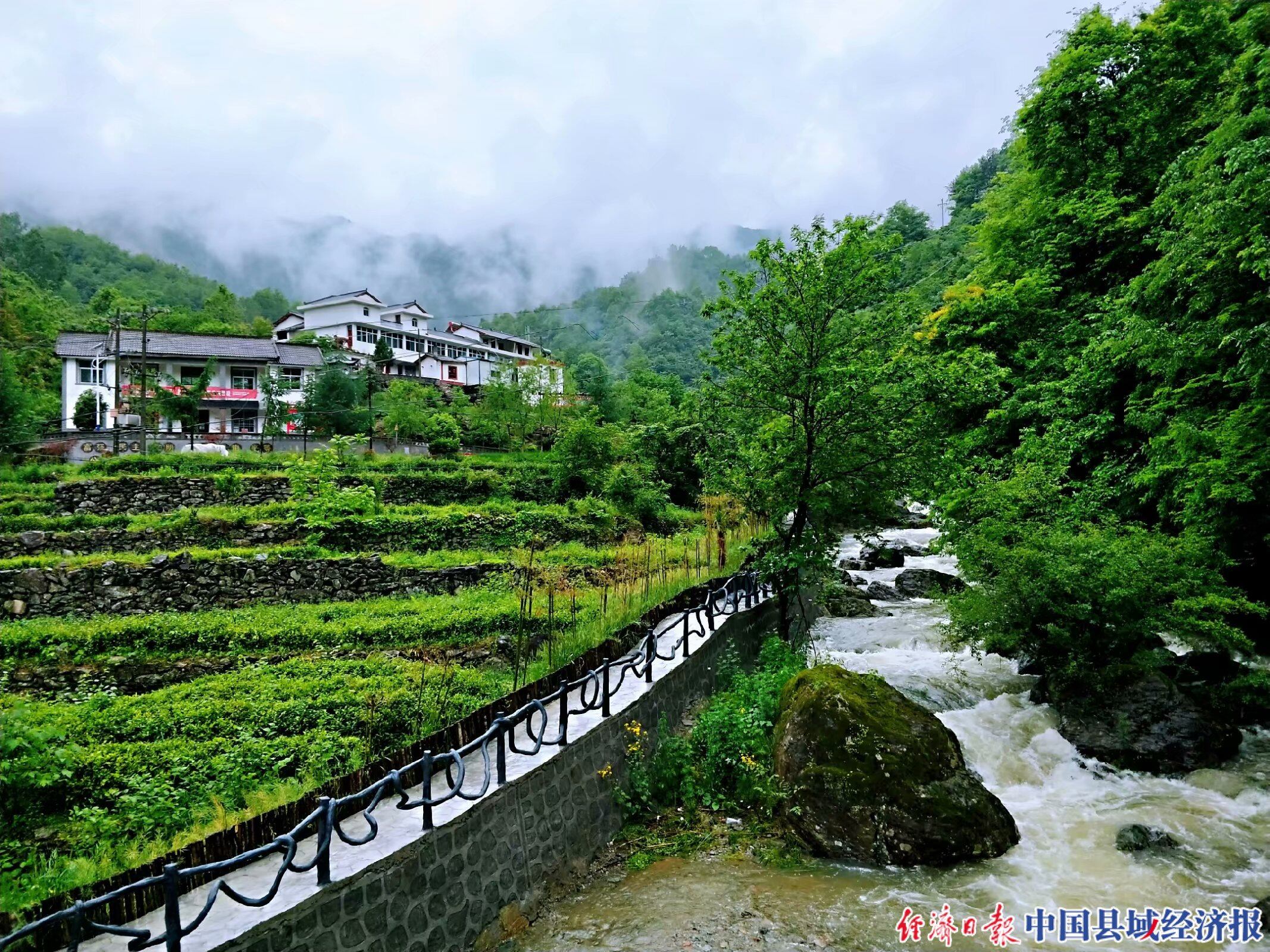 康县铜钱镇双河村一角.(王俊明   摄)