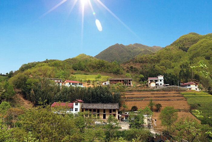 康县岸门口镇杨家河村