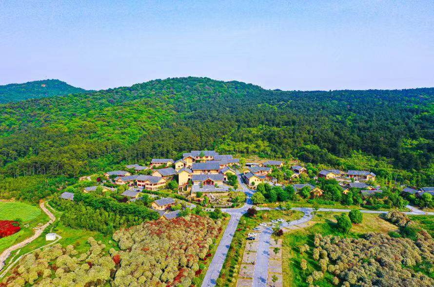 聚焦"中国农谷"荆门屈家岭 打造现代农业示范基地|中国县域经济报