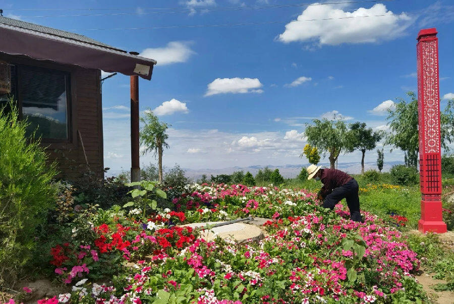 工人们在花园除草 (牛新建 摄)
