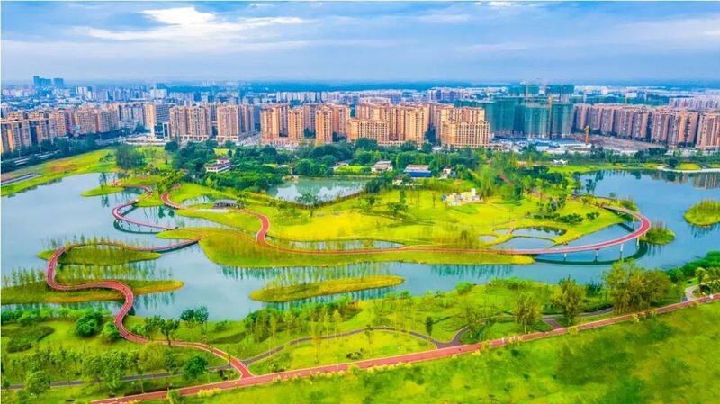 荣誉1新津再次上榜四川省县域经济发展先进县