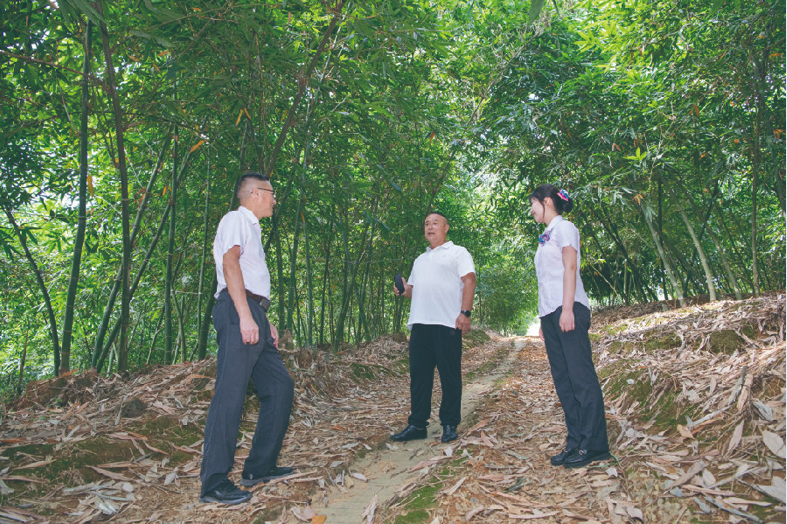 农行南靖县支行服务团队走访吴天昌的麻竹种植基地（简银蕉 摄）