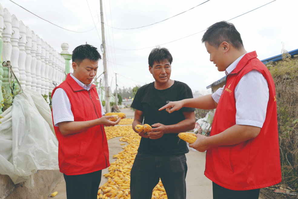 10月27日,临沭农商银行工作人员深入一线助力秋收生产。(李欣 摄) 10月27日,临沭农商银行工作人员深入一线助力秋收生产。(李欣 摄)