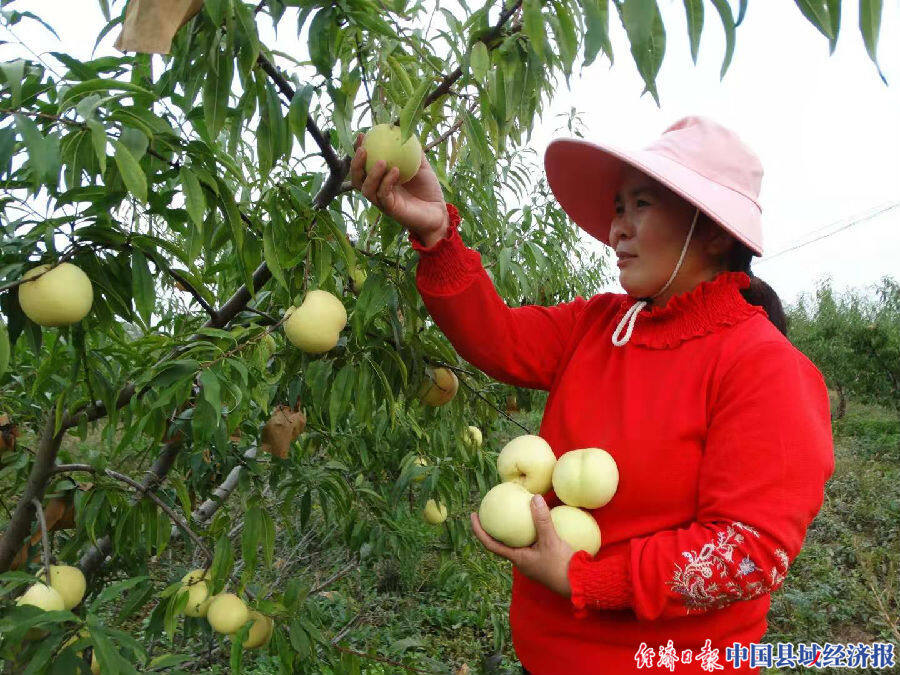 沈丘海振华的女人图片