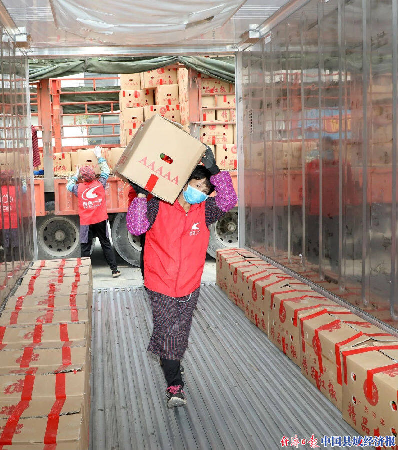 广西驰援湖北果蔬物资装箱待发