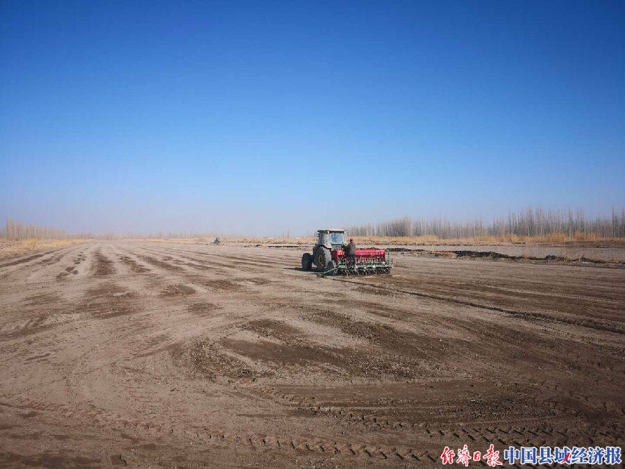 新疆劳改农场真实生活图片
