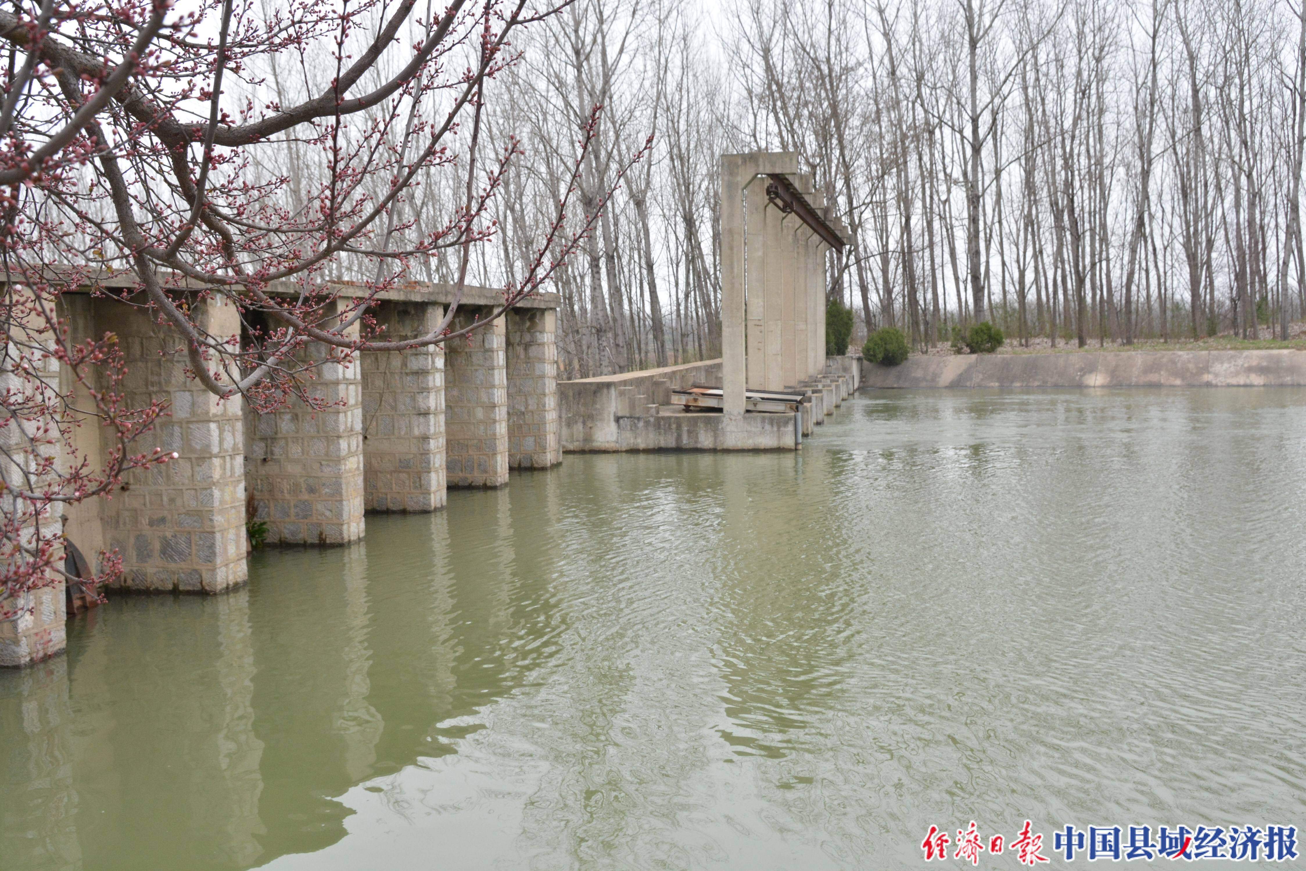从庄墓电灌站到杜集水库,途径黄花山分干渠,瓦东干渠,中间有长达43
