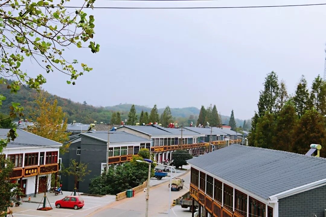 安徽肥西铭传乡:桑芽又绿小乡村 乡村振兴显真彰