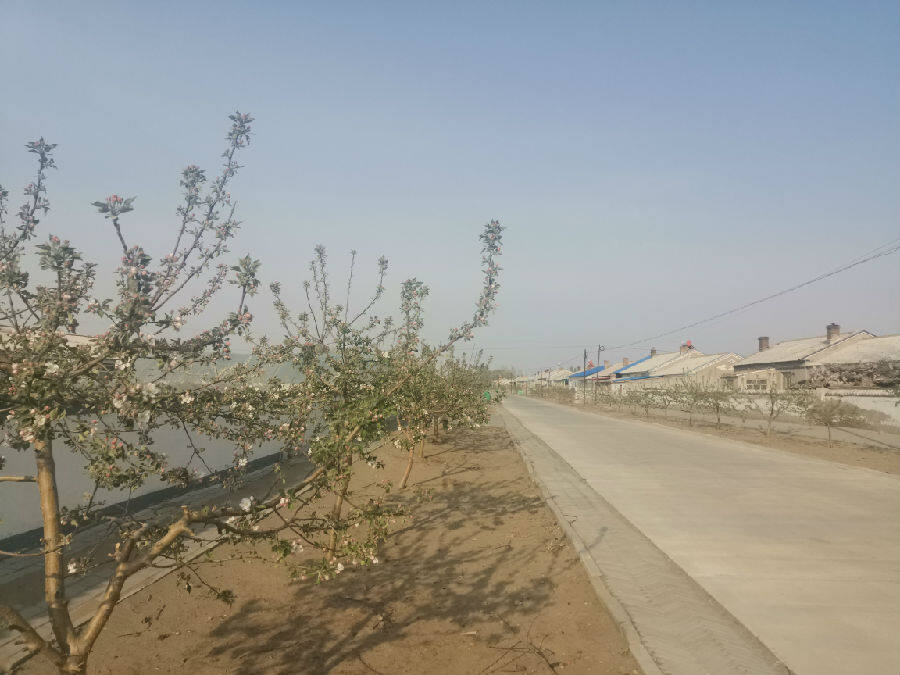 内蒙古开鲁县美家美院靓家园迎小康