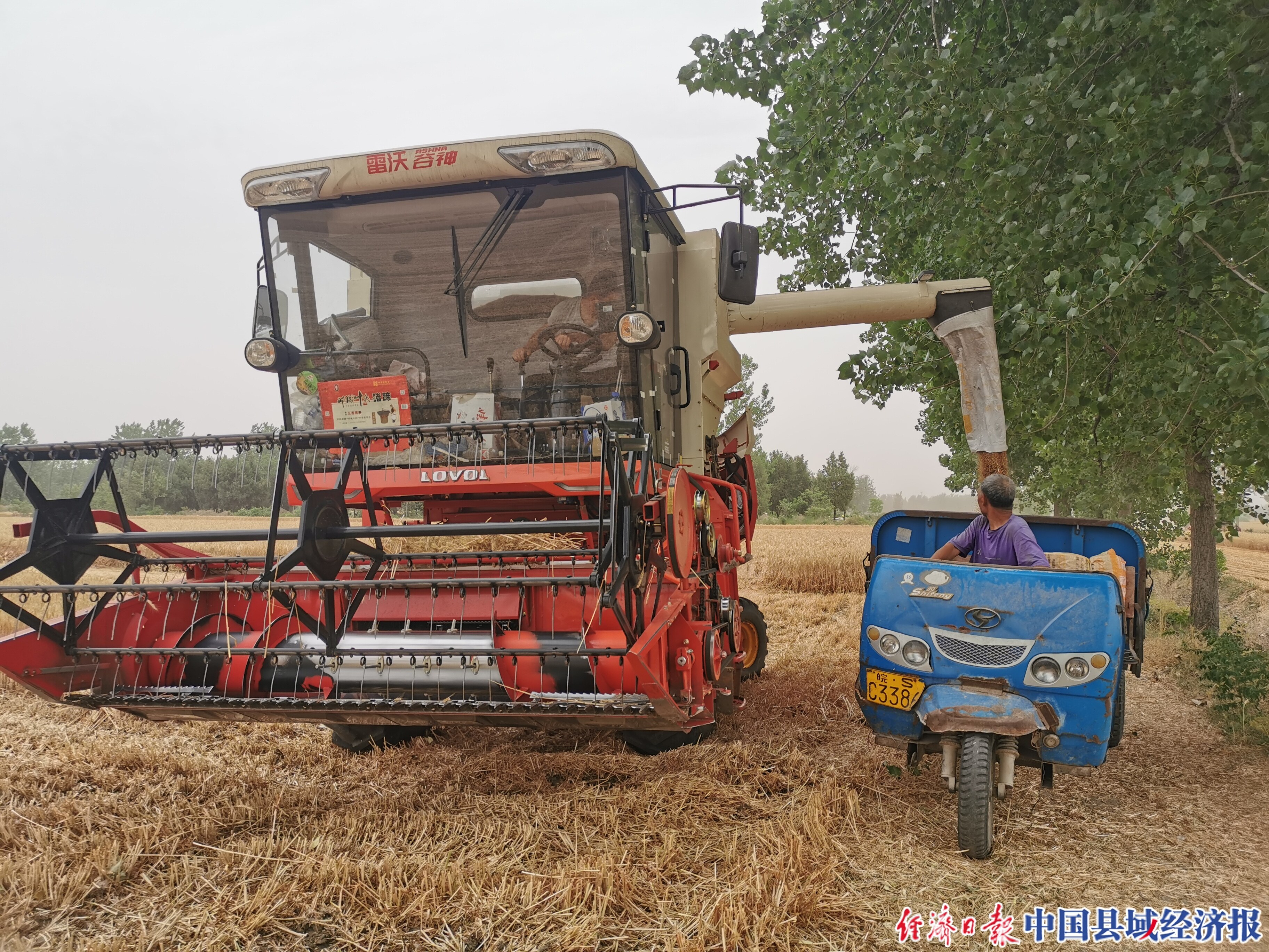 麦客赵凯驾驶gm80,正在卸粮