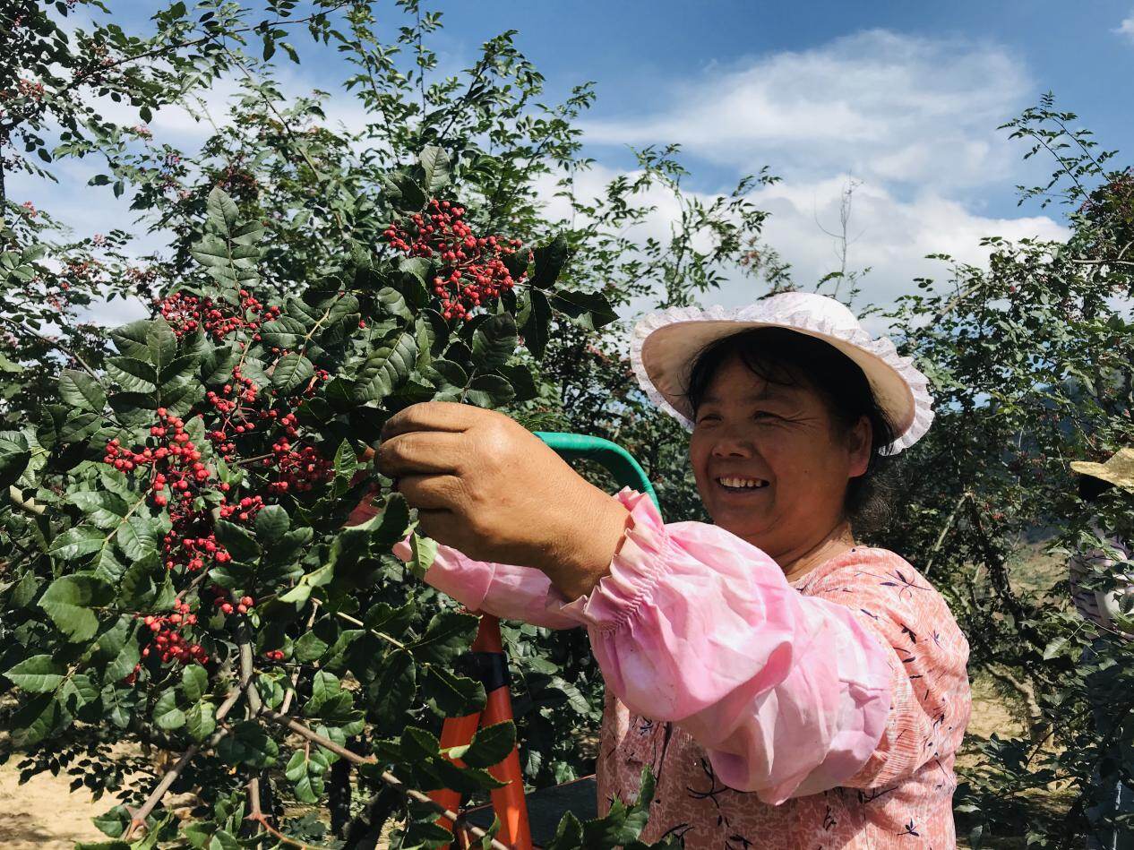 高志东是武都区外纳镇人.