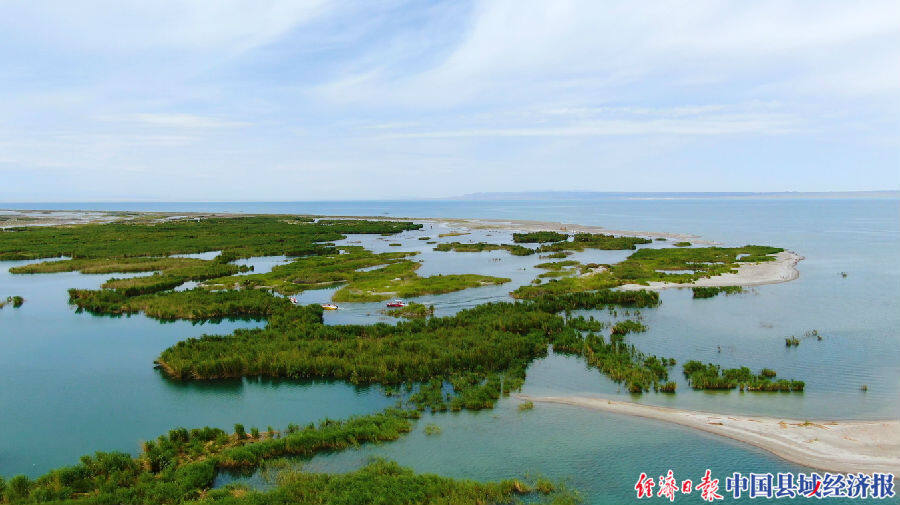 新疆福海縣:生態修復讓烏倫古湖生機盎然