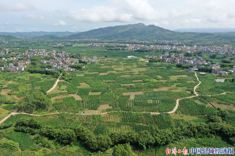 广西藤县和平镇座垌村图片