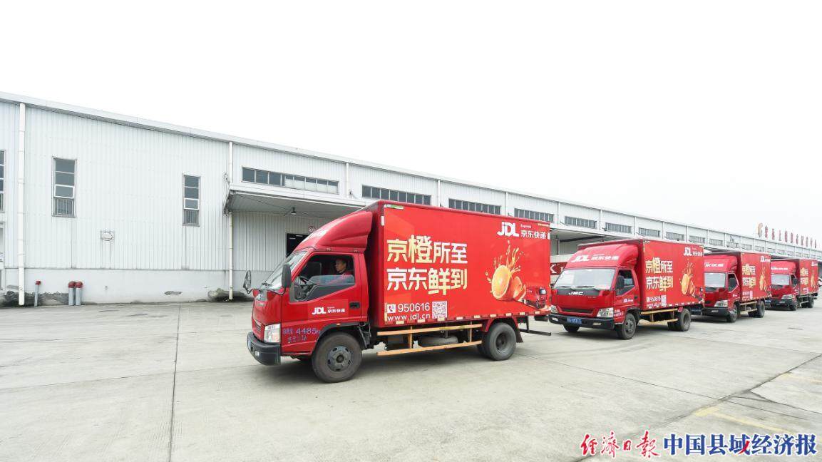 专属生鲜仓开业 四川眉山柑橘搭上京东双11快车