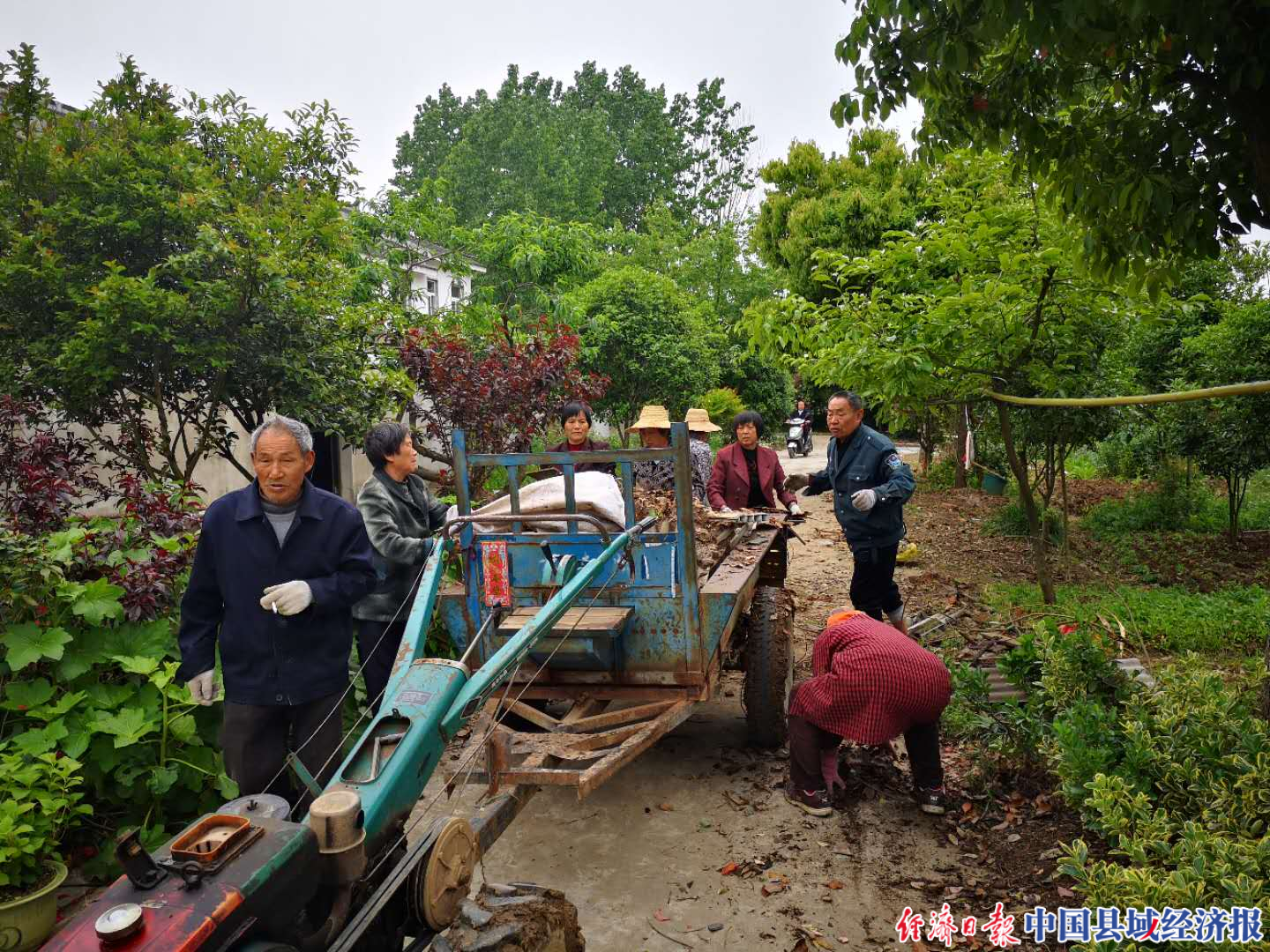 安徽肥西山南镇:四"化"同步 共建美丽乡村|中国县域经济报