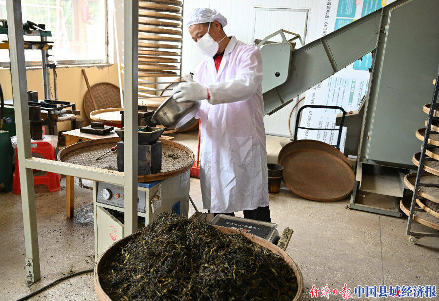 布央茶厂的工人在制作茶饼