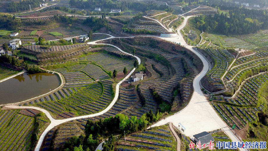 东坝镇打鼓山村产业路