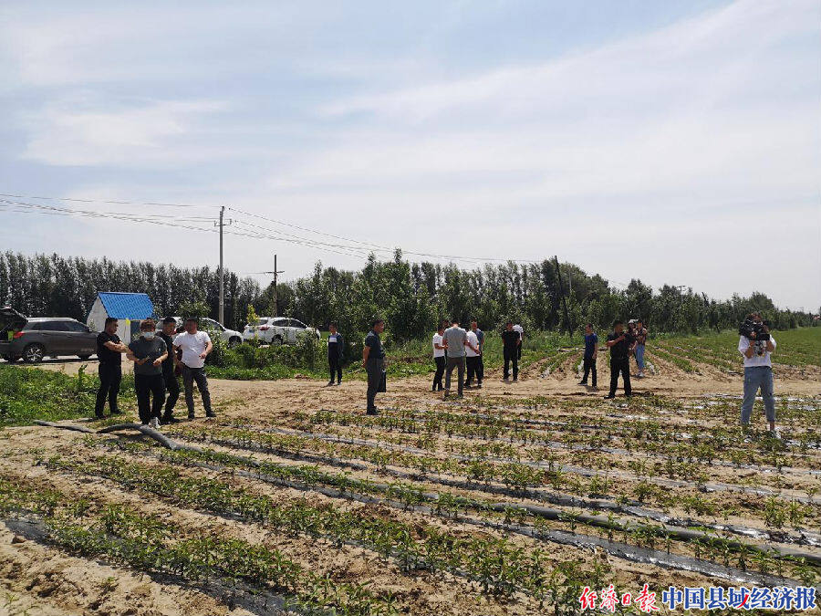 内蒙古开鲁县小街基镇:四举措助推乡村振兴