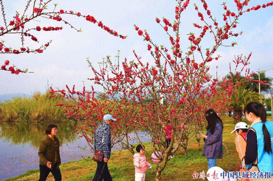 图四为全家在桃树下赏花