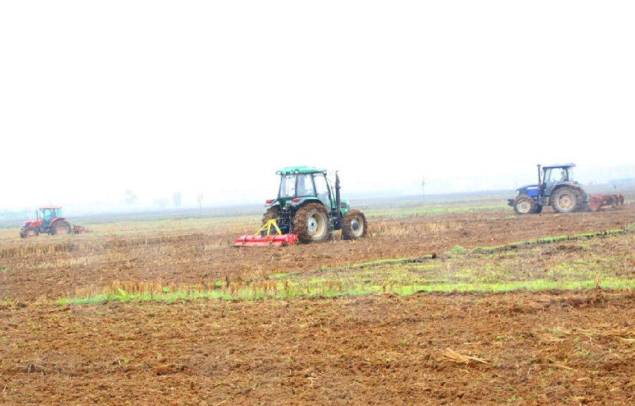 广西高标准农田建设推进顺利中国县域经济报