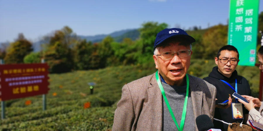 中国工程院院士陈宗懋数字化改造推动传统农业转型升级