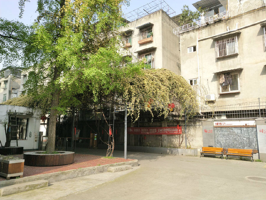 成都温江区柳城街道: 老旧小区迎"第二春"