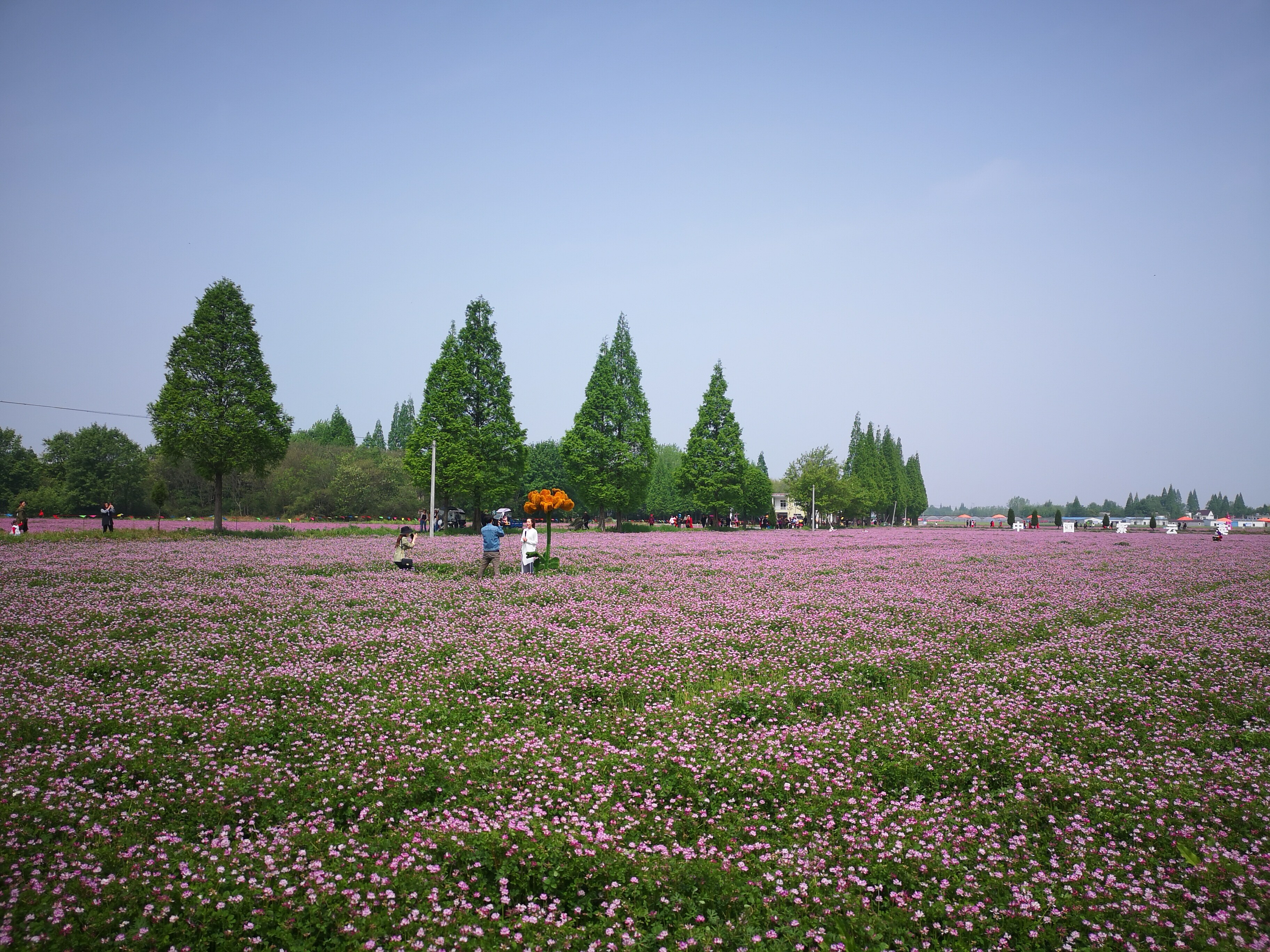 安徽南陵县首届紫云英嘉联华活动举办|中国县域经济报