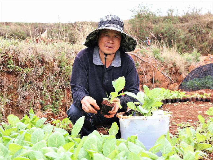 致富最新消息_最新致富经_致富最新机器