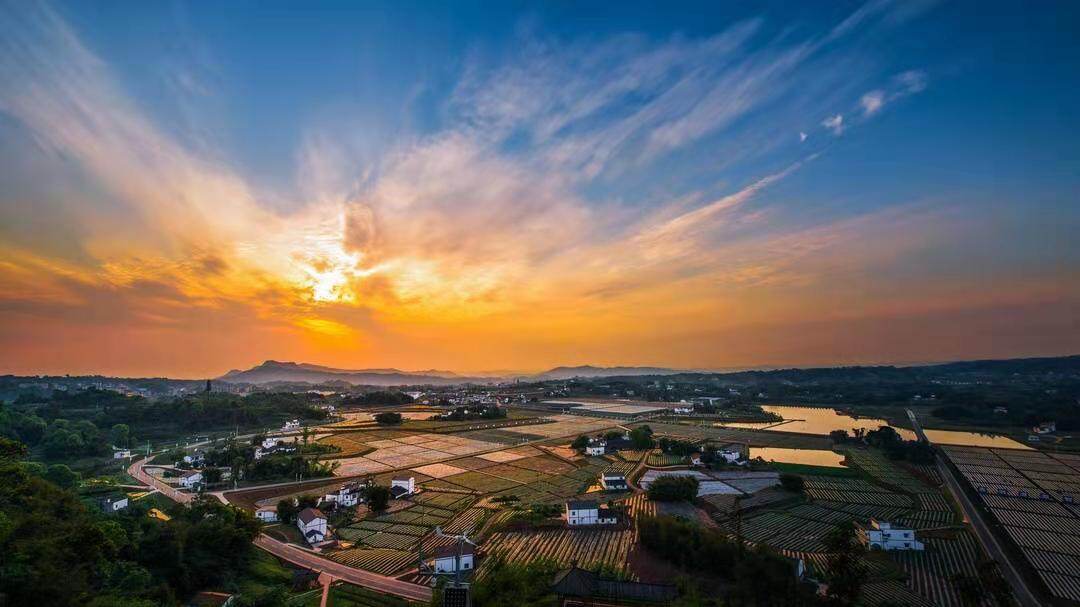 四川泸州江阳区:文旅联姻绘就乡村旅游多彩画卷|中国县域经济报