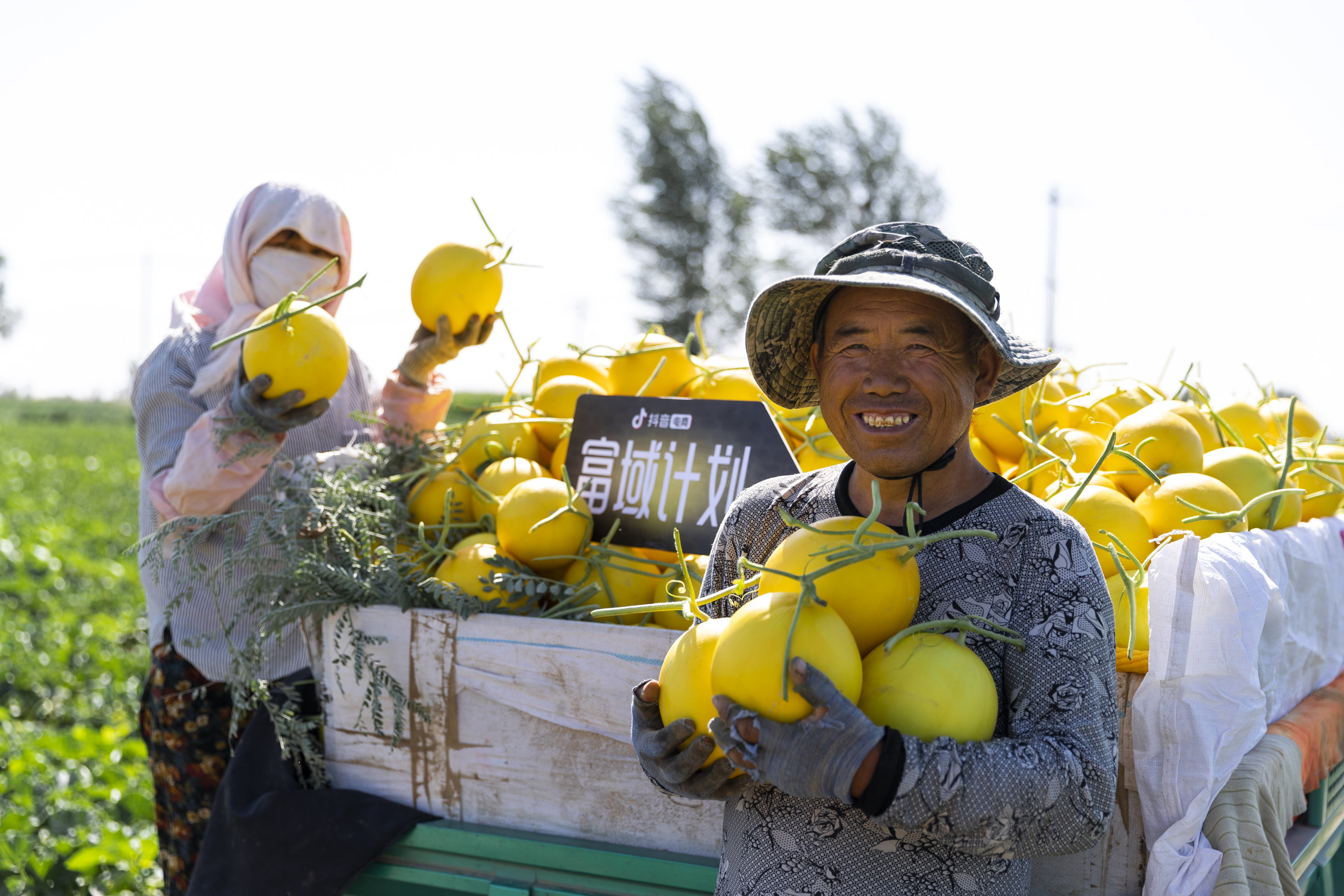 "富域计划"走进沙地 "民勤蜜瓜"香飘全国