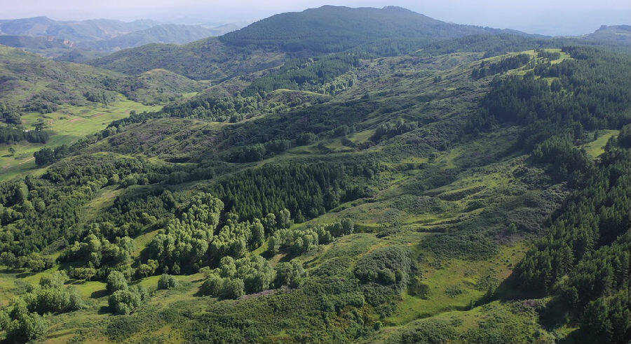 层林尽染摩天岭|中国县域经济报