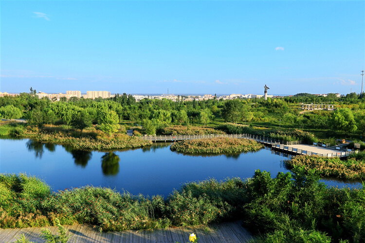 鄂托克旗生态植物园(郝常明 摄)